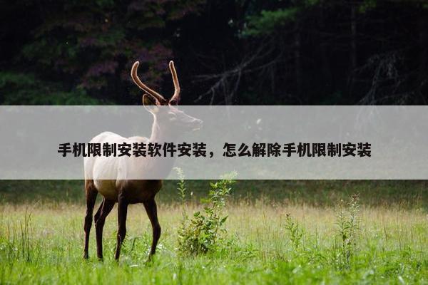 手机限制安装软件安装，怎么解除手机限制安装