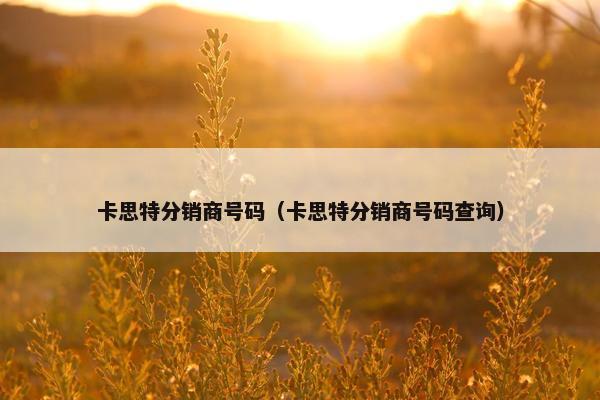 卡思特分销商号码（卡思特分销商号码查询）
