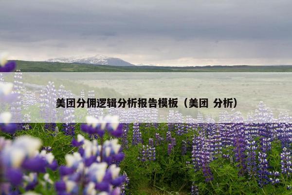美团分佣逻辑分析报告模板（美团 分析）
