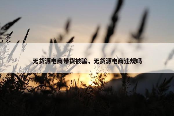 无货源电商带货被骗，无货源电商违规吗