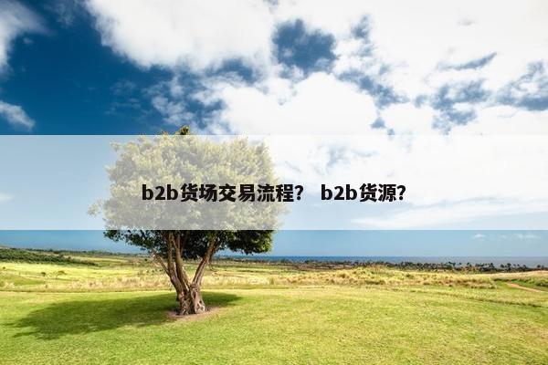 b2b货场交易流程？ b2b货源？