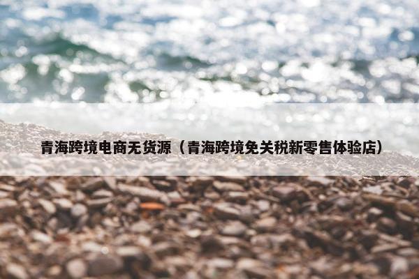 青海跨境电商无货源（青海跨境免关税新零售体验店）