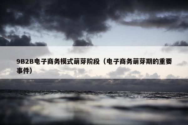 9B2B电子商务模式萌芽阶段（电子商务萌芽期的重要事件）