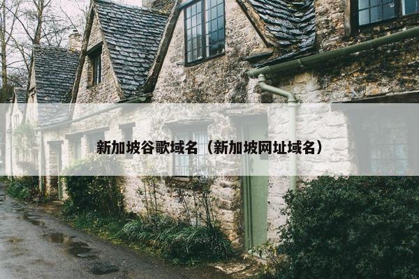 新加坡谷歌域名（新加坡网址域名）