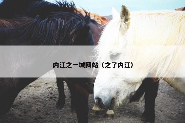 内江之一城网站（之了内江）