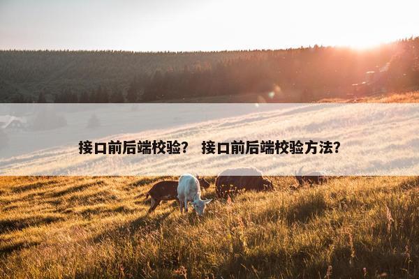 接口前后端校验？ 接口前后端校验方法？