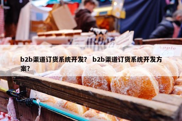 b2b渠道订货系统开发？ b2b渠道订货系统开发方案？