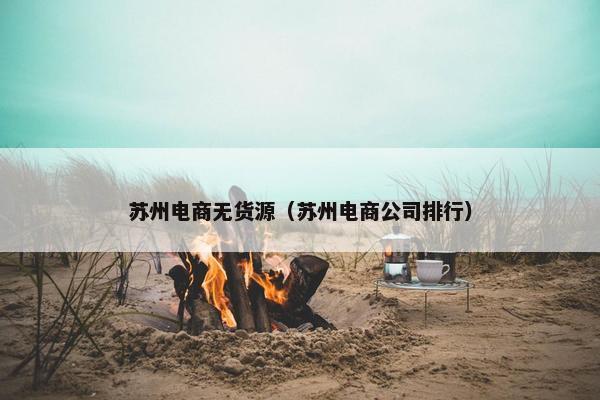 苏州电商无货源（苏州电商公司排行）