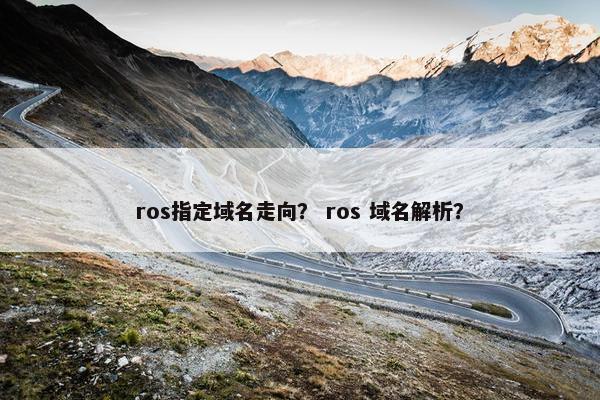 ros指定域名走向？ ros 域名解析？