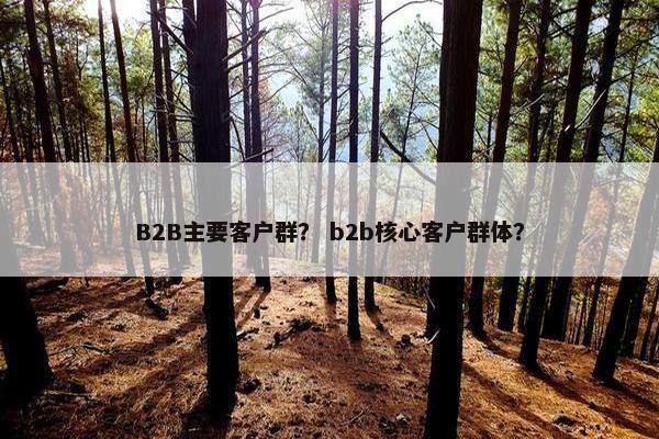 B2B主要客户群？ b2b核心客户群体？