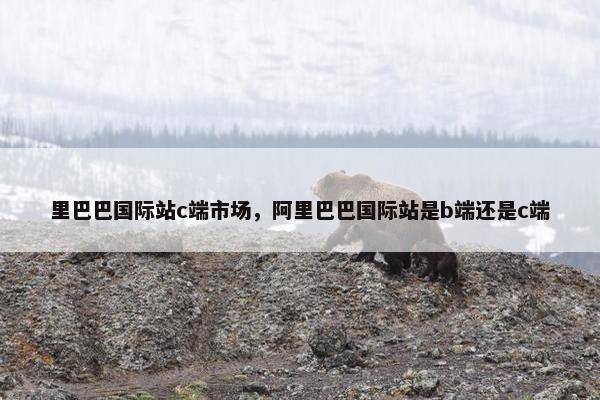 里巴巴国际站c端市场，阿里巴巴国际站是b端还是c端