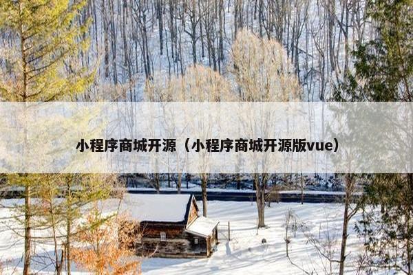 小程序商城开源（小程序商城开源版vue）