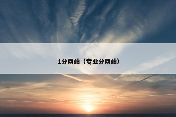 1分网站（专业分网站）