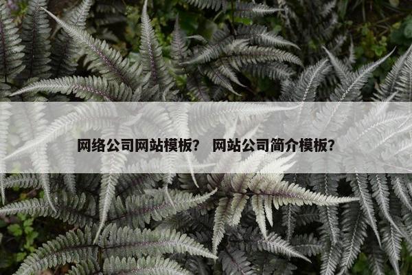 网络公司网站模板？ 网站公司简介模板？