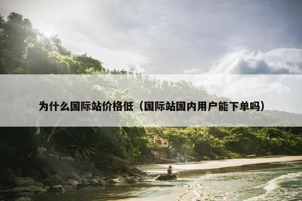 为什么国际站价格低（国际站国内用户能下单吗）