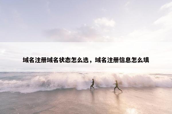 域名注册域名状态怎么选，域名注册信息怎么填