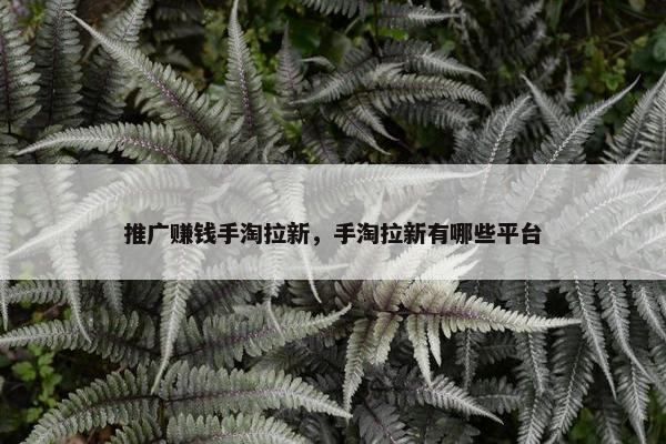 推广赚钱手淘拉新，手淘拉新有哪些平台