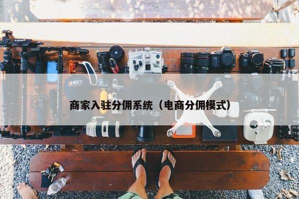 商家入驻分佣系统（电商分佣模式）