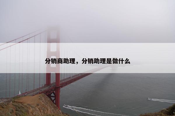 分销商助理，分销助理是做什么