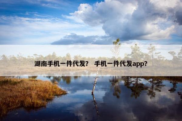 湖南手机一件代发？ 手机一件代发app？