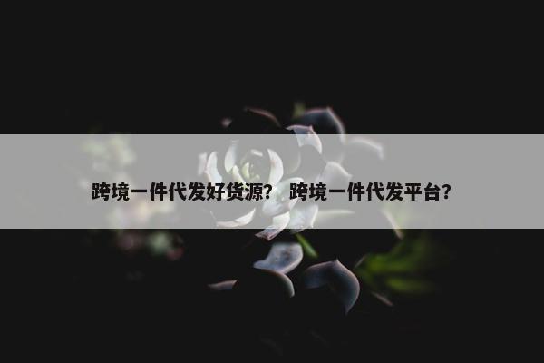 跨境一件代发好货源？ 跨境一件代发平台？