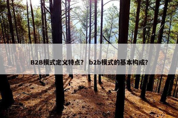 B2B模式定义特点？ b2b模式的基本构成？