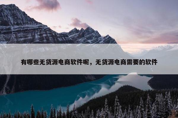 有哪些无货源电商软件呢，无货源电商需要的软件