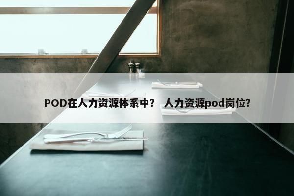 POD在人力资源体系中？ 人力资源pod岗位？