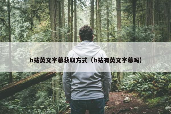 b站英文字幕获取方式（b站有英文字幕吗）