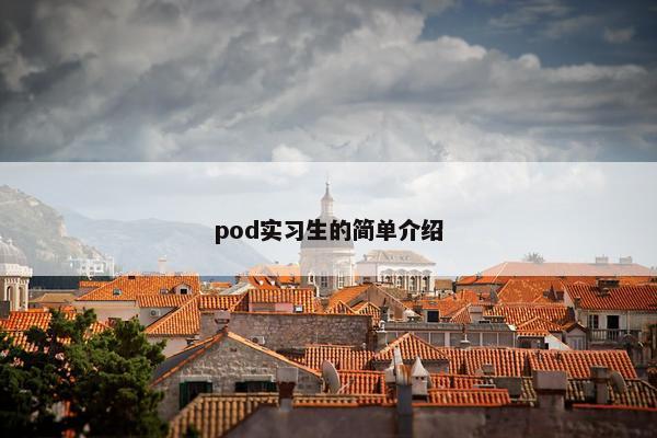 pod实习生的简单介绍