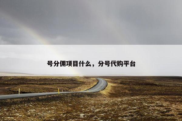 号分佣项目什么，分号代购平台