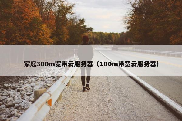 家庭300m宽带云服务器（100m带宽云服务器）