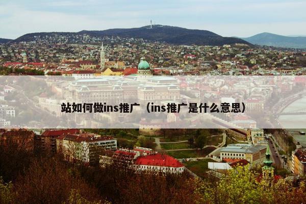 站如何做ins推广（ins推广是什么意思）