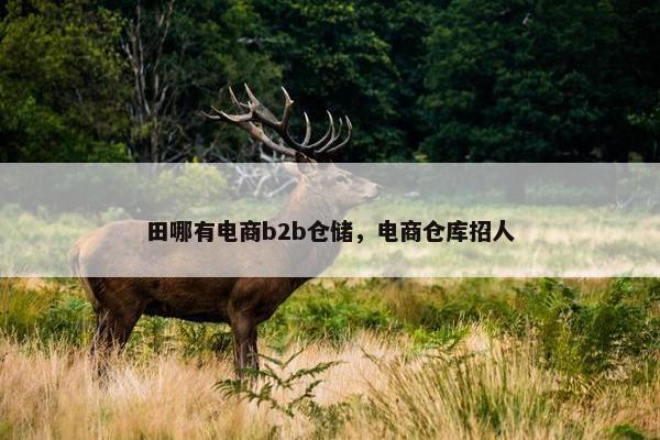 田哪有电商b2b仓储，电商仓库招人