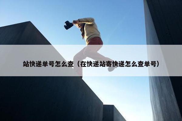 站快递单号怎么查（在快递站寄快递怎么查单号）