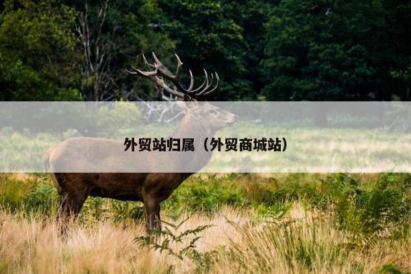 外贸站归属（外贸商城站）