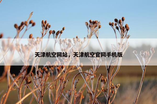 天津航空网站，天津航空官网手机版