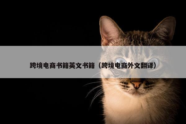 跨境电商书籍英文书籍（跨境电商外文翻译）