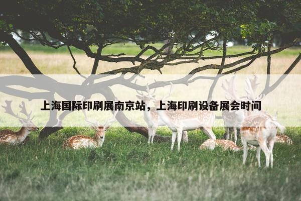 上海国际印刷展南京站，上海印刷设备展会时间