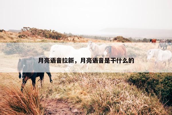 月亮语音拉新，月亮语音是干什么的