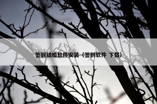 签到结婚软件安装（签到软件 下载）