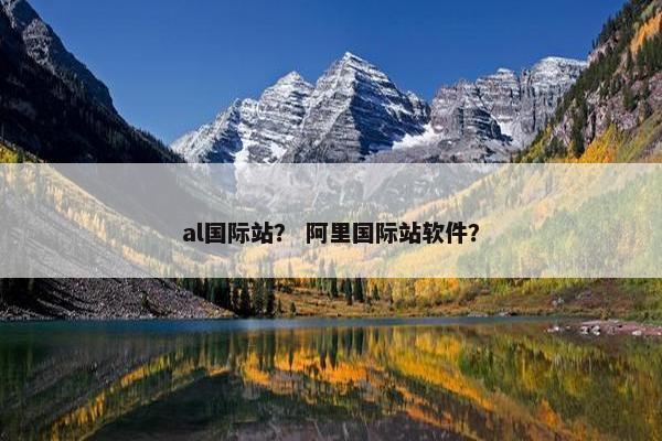 al国际站？ 阿里国际站软件？