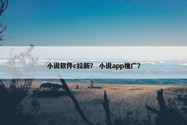 小说软件c拉新？ 小说app推广？