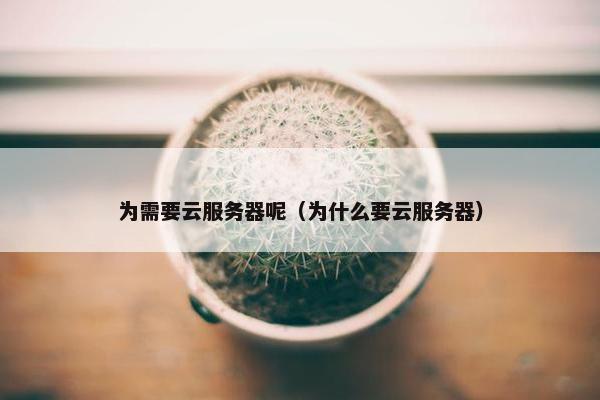 为需要云服务器呢（为什么要云服务器）