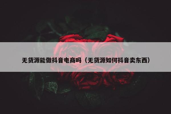 无货源能做抖音电商吗（无货源如何抖音卖东西）