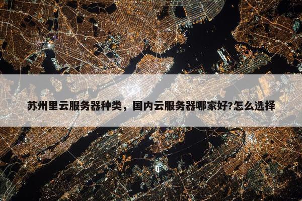 苏州里云服务器种类，国内云服务器哪家好?怎么选择