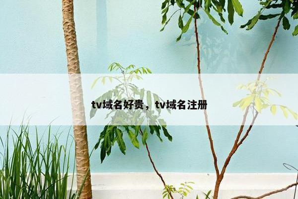 tv域名好贵，tv域名注册