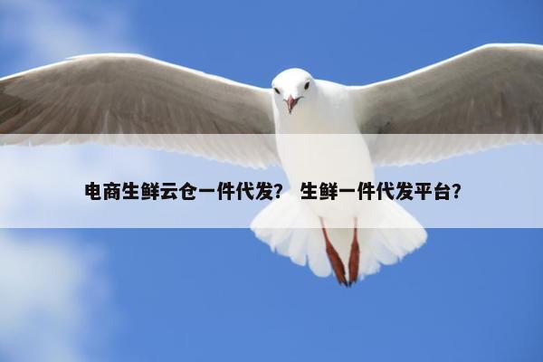电商生鲜云仓一件代发？ 生鲜一件代发平台？