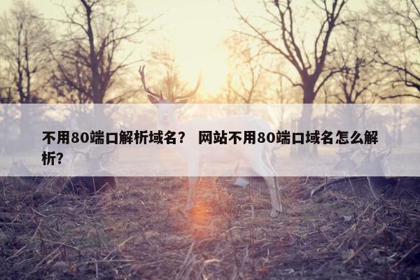 不用80端口解析域名？ 网站不用80端口域名怎么解析？