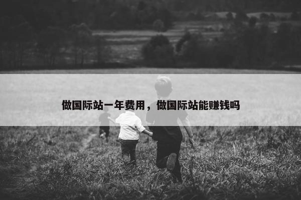 做国际站一年费用，做国际站能赚钱吗